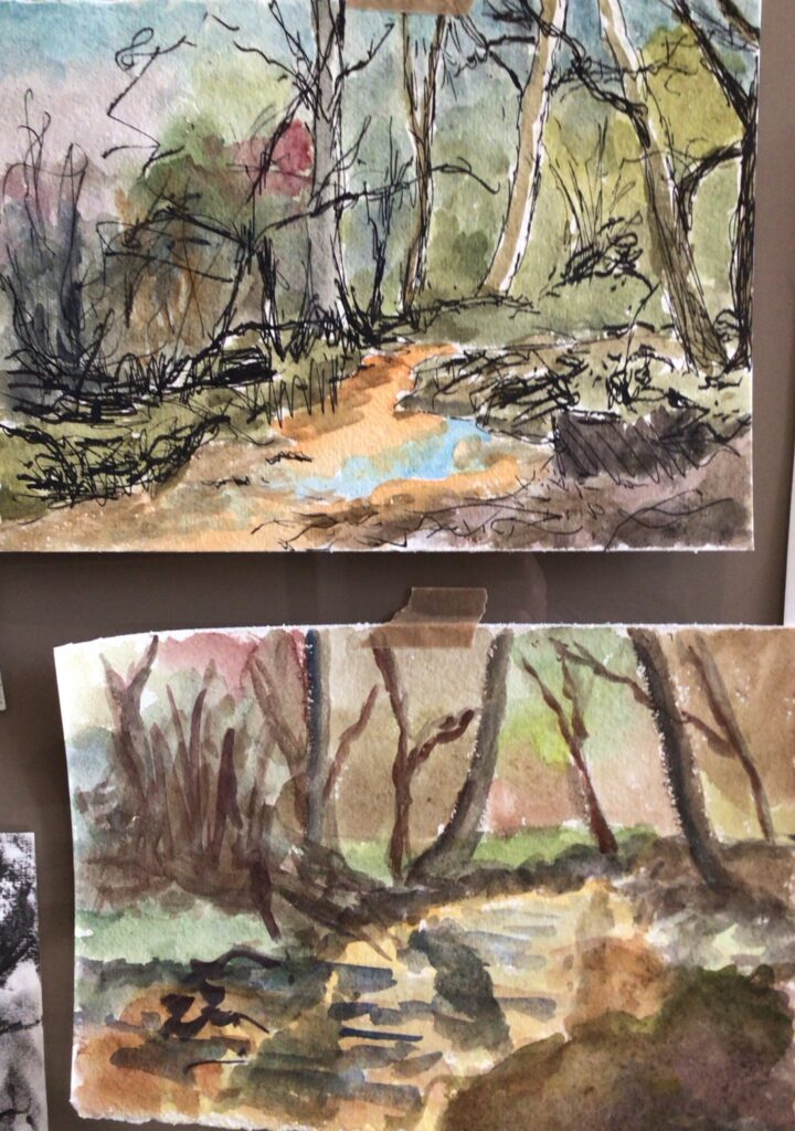 Forest sketches ink and watercolour